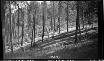 Big Creek, Mammoth Pool