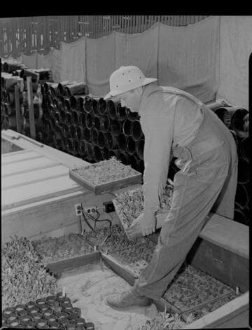 Soil heating