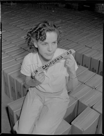 Infra-red - Metals Manufacturing Co. - Vernon - license cover