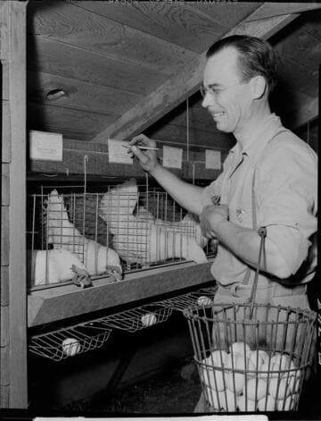 J. Robert Lawson poultry ranch