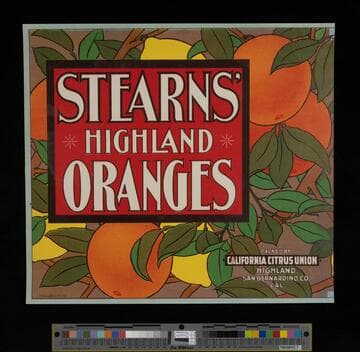 Stearns' Highland Oranges