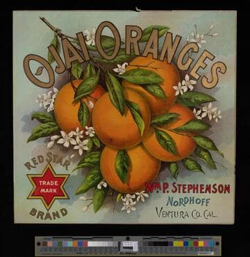 Ojai Oranges