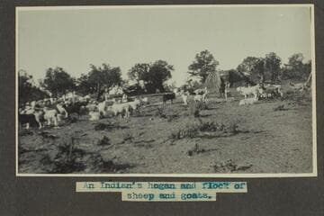 Zahn trip to San Juan placers in a Franklin car.  An Indian's hogan and flock of sheep and goats