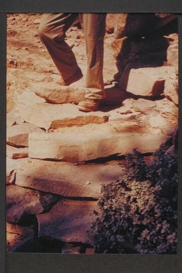 Upper set of steps on trail out of Spanish Bottom