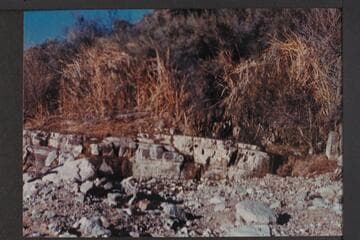 Middle spring; Robbers Roost Canyon; Diamond Creek