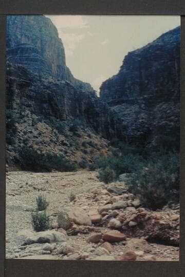 In east arm of Separation Canyon