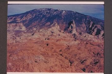 Head of Toh Dilth Ylth.  Navajo Mountain