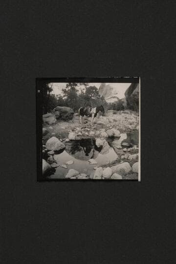 Dan at waterhole in Nasja Creek