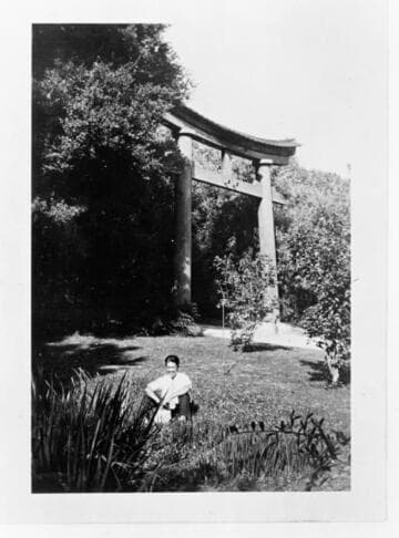 Torii Gate of the Japanese garden