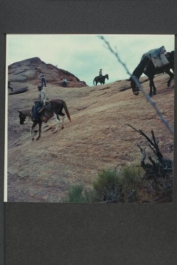 Sid Whiskers rides down slick rock in crossing between Bald Rock Creek and Nasja Creek