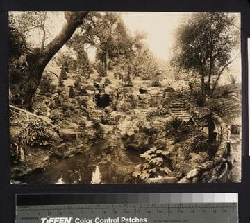 Stream and waterfall of the Japanese garden, circa 1913
