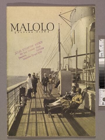 Malolo (flying fish)