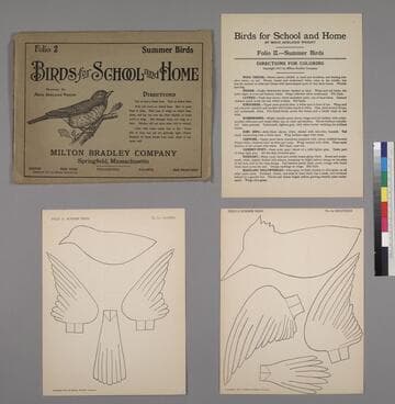 Birds for School and Home: Folio 2, Summer Birds