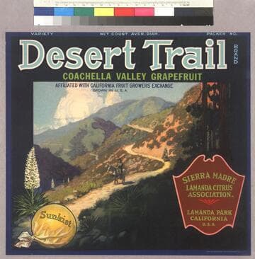 Desert trail brand