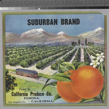 Suburban brand