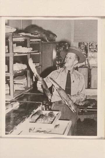 Park Naturalist Louis Schellbach in Naturalist Workshop; Grand Canyon, Arizona