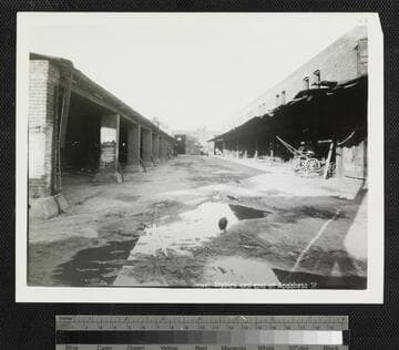 Jewel Stables east end of Apalabasa St