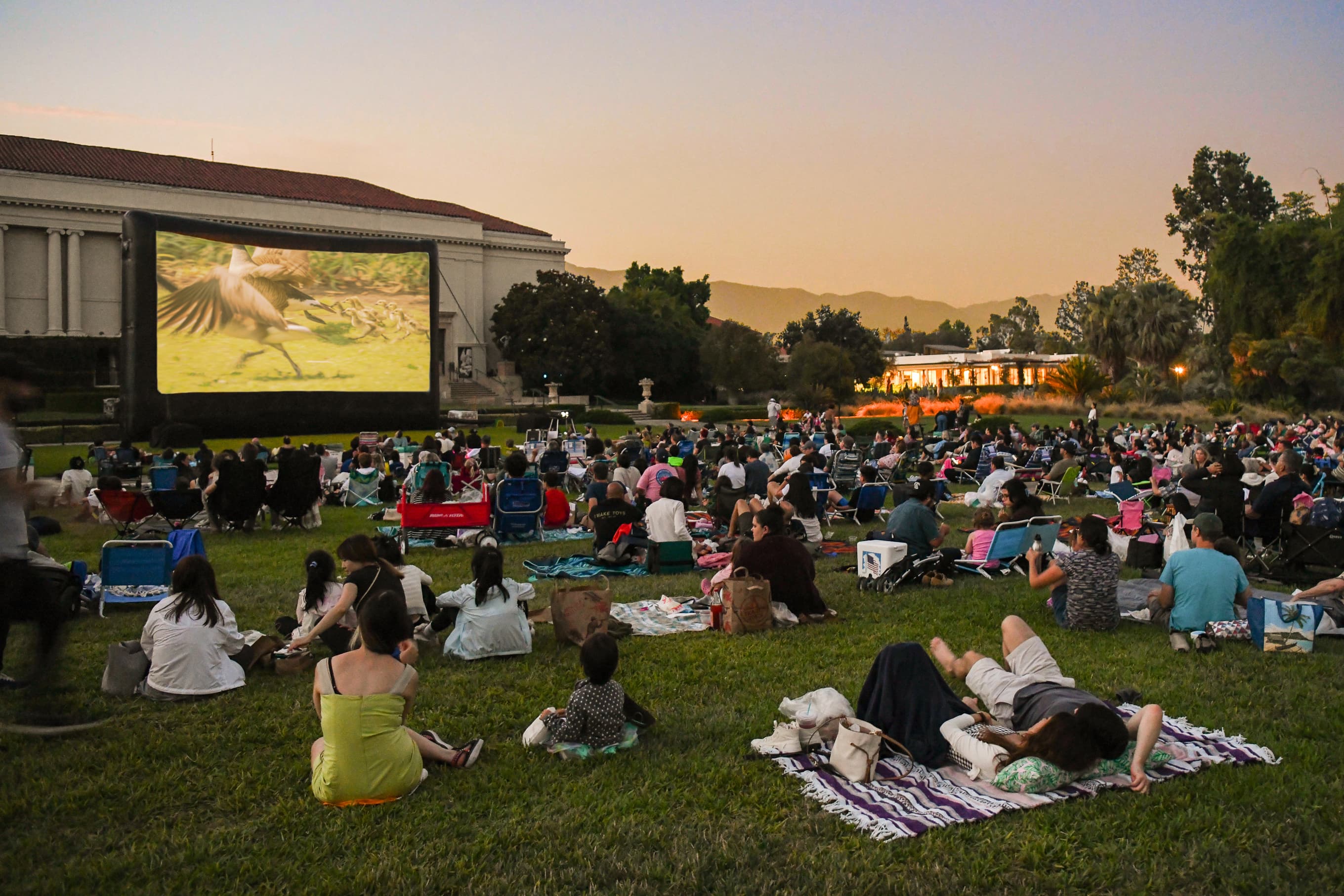 A crowd sits on a lawn watching a projection screen, at sunset.
