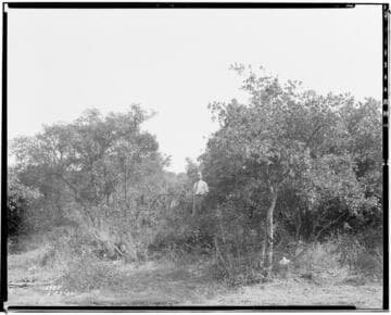 Miscellaneous Transmission - Right-of-Way across "Three Bros. Rancho"