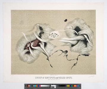 Group of sunspots and veiled spots