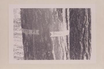 Signs at road junction 2 1/2 miles north of Tiyo Point, apparent relics of 1937 Shiva Expedition