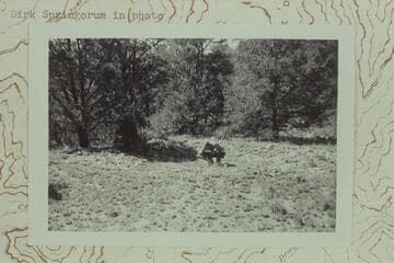 Large mescal pit near west center of Shiva Saddle. North of rocky and brushy ledges. Dick Springorum in photo
