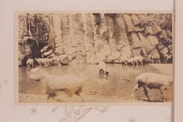 Tappan Spring. Water supply for settlement at bridge across the Little Colorado. Three miles southwest of the Bridge