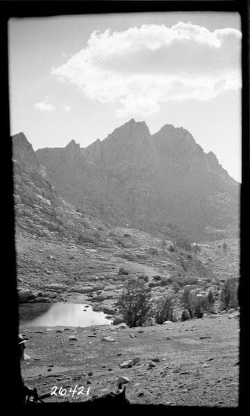 Fish Valley